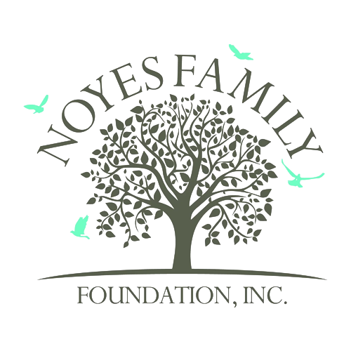 Noyes Family Foundation, INC. logo